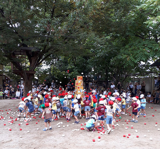 2019運動会(玉入れ).jpg