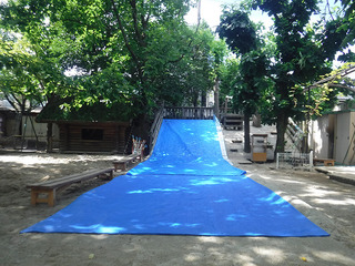 v[J2022D.jpg