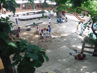 園庭2020.6-A.jpg