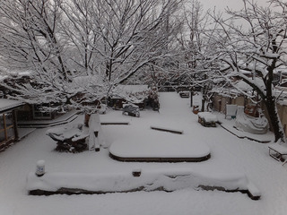 雪景色(朝一番)@.jpg