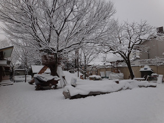 雪景色(朝一番)A.jpg