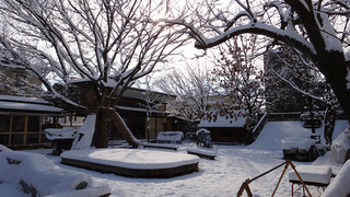 雪景色(木漏れ日)@.jpg