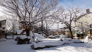 雪景色(木漏れ日)A.jpg