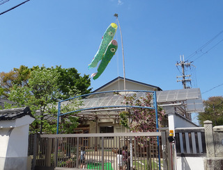 鯉のぼり2017.jpg